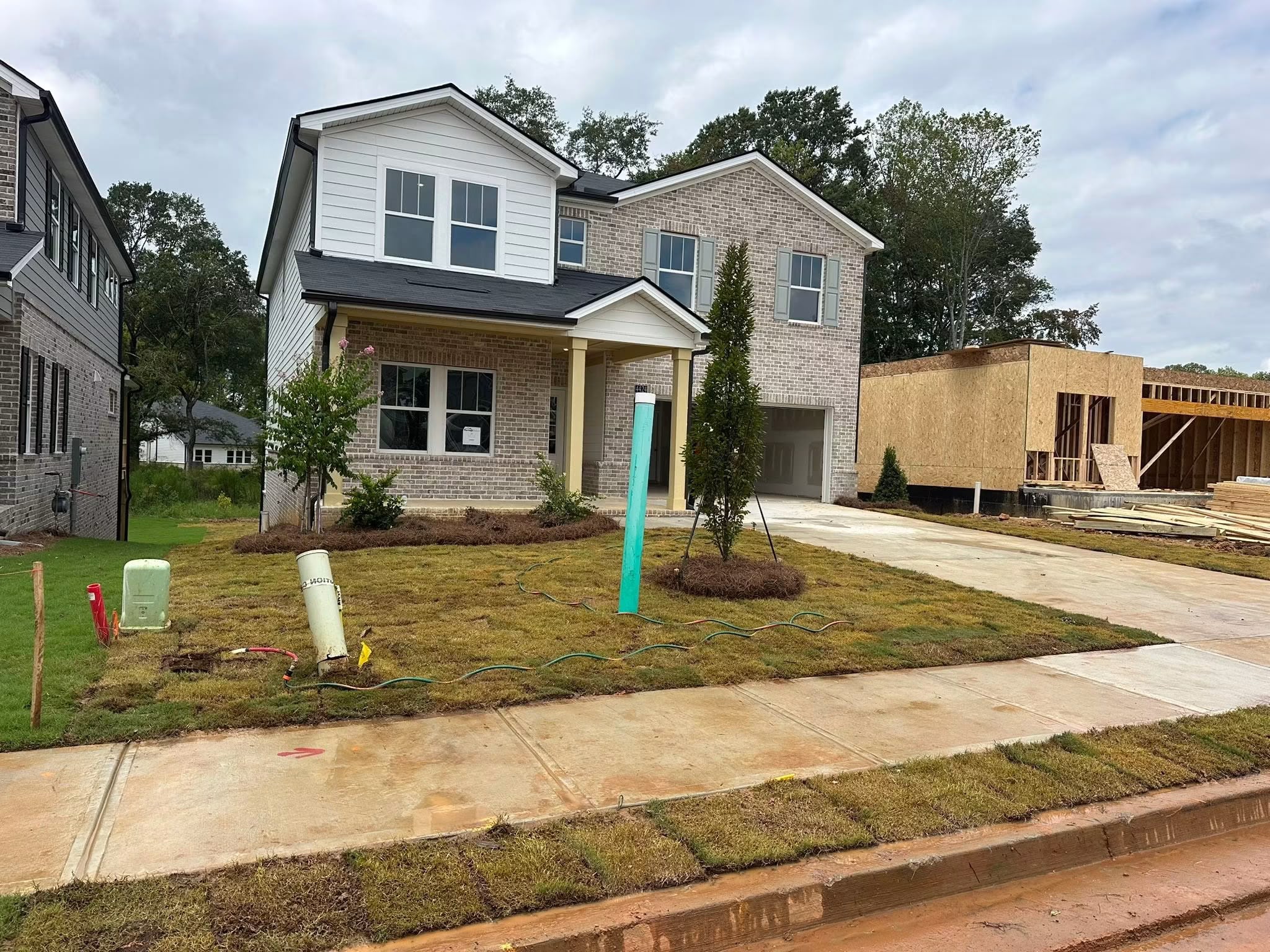 After: newly laid green sod turf with pine straw island and planted trees